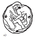 Иллюстрация к книге — Скифы: расцвет и падение великого царства [i_131.jpg]