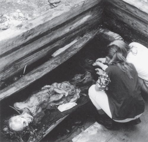 Иллюстрация к книге — Скифы: расцвет и падение великого царства [i_146.jpg]