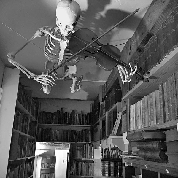 Иллюстрация к книге — Дневник книготорговца [i_002.jpg]