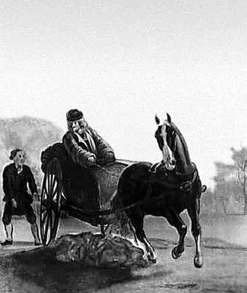 Иллюстрация к книге — Все герои мировой истории [i_220.jpg]