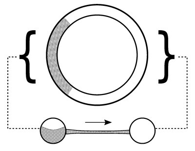Иллюстрация к книге — Либидо с кукушкой. Психоанализ для избранных [i_027.jpg]