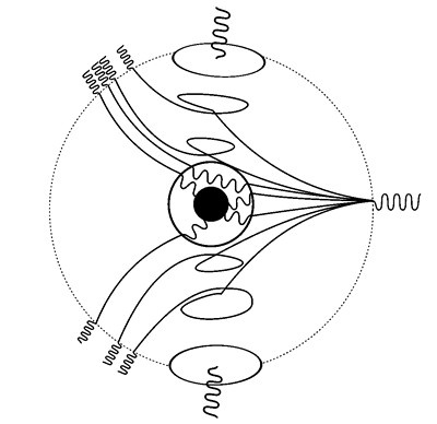 Иллюстрация к книге — Либидо с кукушкой. Психоанализ для избранных [i_041.jpg]