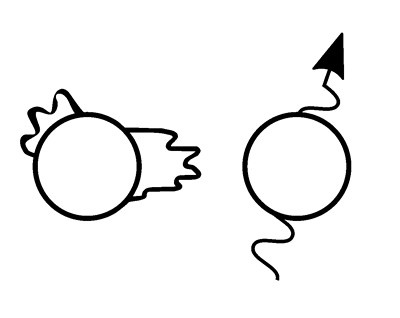 Иллюстрация к книге — Либидо с кукушкой. Психоанализ для избранных [i_057.jpg]