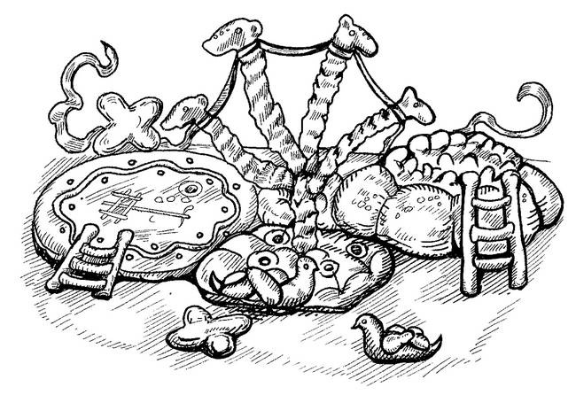 Иллюстрация к книге — Популярная история мифологии [i_118.jpg]