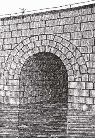 Иллюстрация к книге — Голосуйте за Цезаря [i_004.jpg]