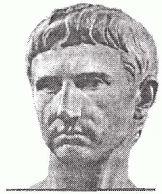 Иллюстрация к книге — Голосуйте за Цезаря [i_018.jpg]