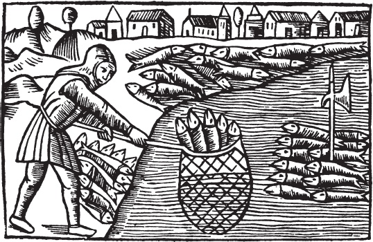 Иллюстрация к книге — Викинги. Потомки Одина и Тора [i_009.jpg]