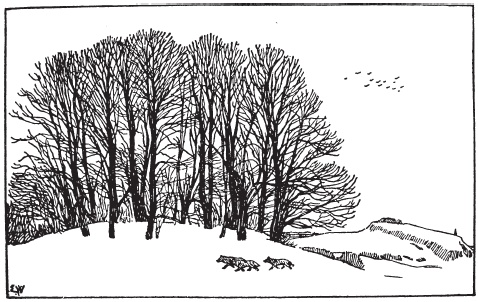 Иллюстрация к книге — Викинги. Потомки Одина и Тора [i_019.jpg]