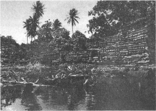 Иллюстрация к книге — Предки богов. Затерянная цивилизация Лемурии [i_003.jpg]