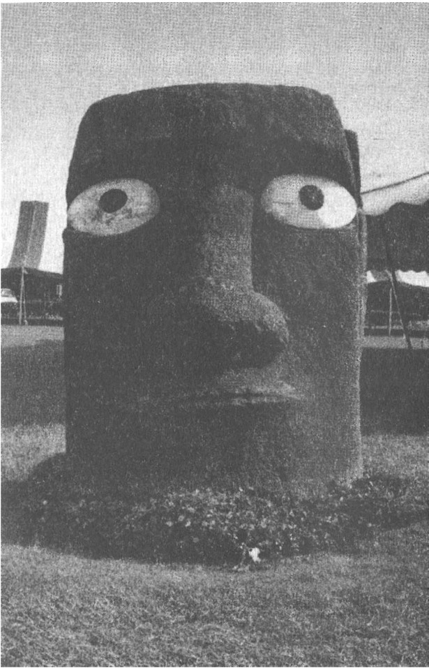 Иллюстрация к книге — Предки богов. Затерянная цивилизация Лемурии [i_007.jpg]