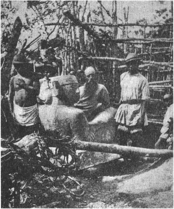 Иллюстрация к книге — Предки богов. Затерянная цивилизация Лемурии [i_011.jpg]