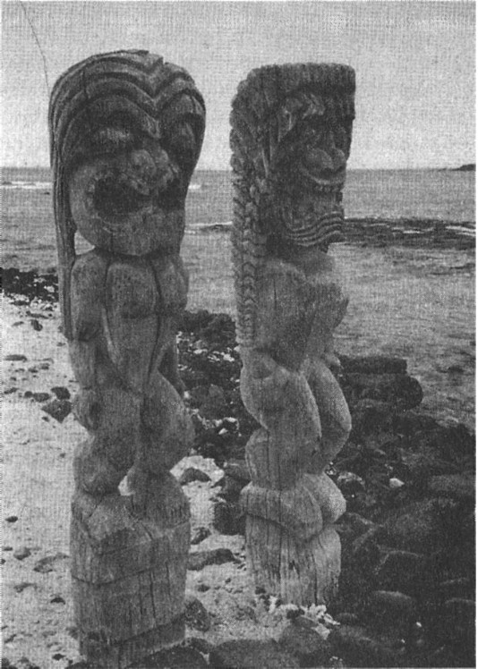 Иллюстрация к книге — Предки богов. Затерянная цивилизация Лемурии [i_014.jpg]