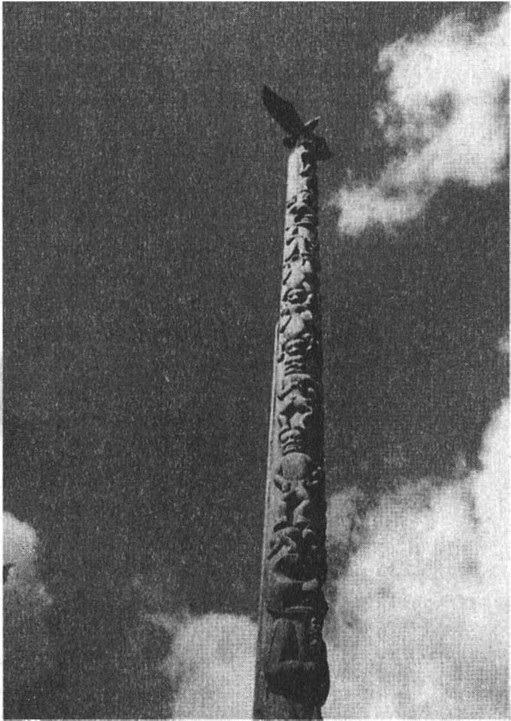 Иллюстрация к книге — Предки богов. Затерянная цивилизация Лемурии [i_016.jpg]