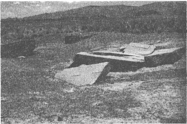 Иллюстрация к книге — Предки богов. Затерянная цивилизация Лемурии [i_018.jpg]