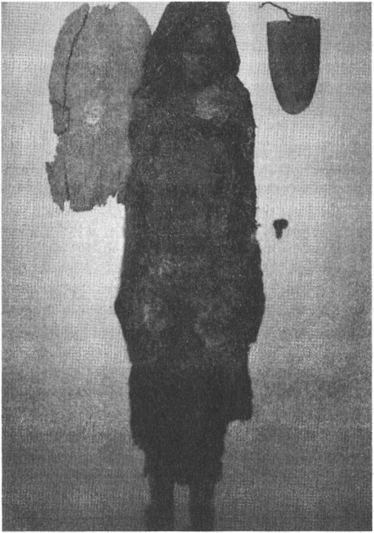 Иллюстрация к книге — Предки богов. Затерянная цивилизация Лемурии [i_032.jpg]