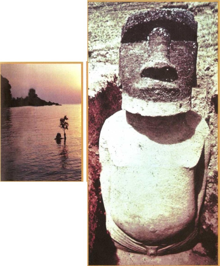 Иллюстрация к книге — Предки богов. Затерянная цивилизация Лемурии [i_039.jpg]