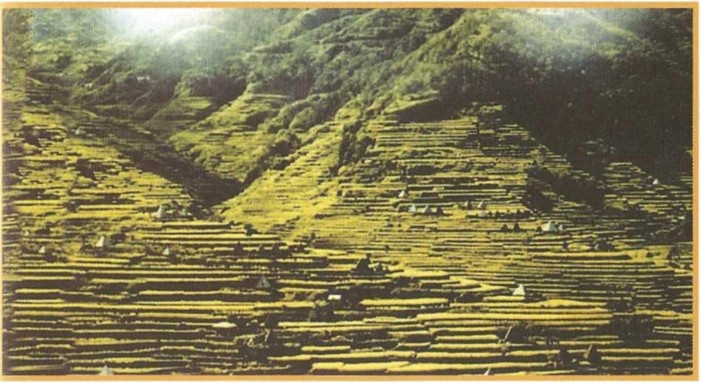 Иллюстрация к книге — Предки богов. Затерянная цивилизация Лемурии [i_042.jpg]