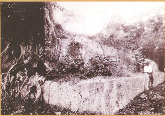 Иллюстрация к книге — Предки богов. Затерянная цивилизация Лемурии [i_045.jpg]