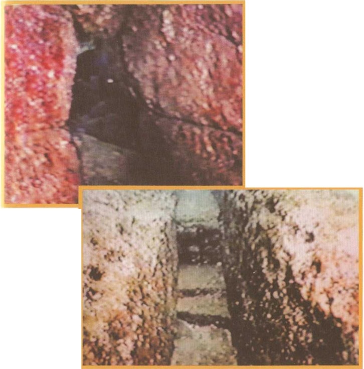 Иллюстрация к книге — Предки богов. Затерянная цивилизация Лемурии [i_049.jpg]