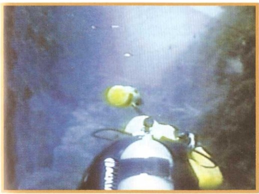 Иллюстрация к книге — Предки богов. Затерянная цивилизация Лемурии [i_050.jpg]