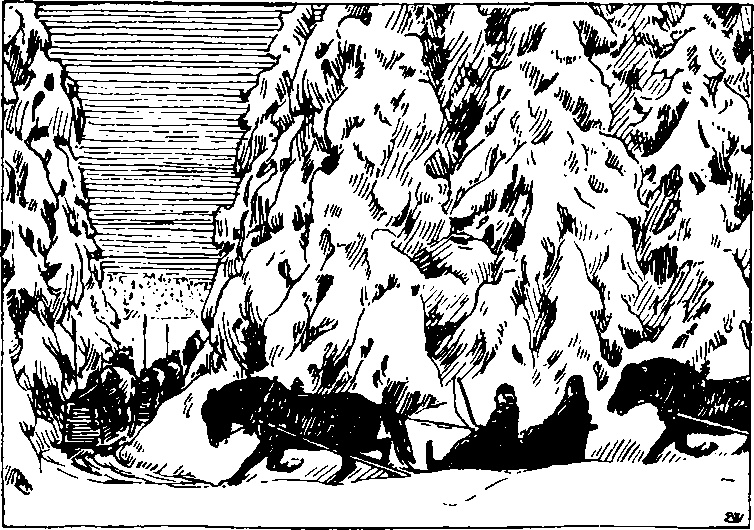 Иллюстрация к книге — Четыре норвежских конунга на Руси [doc2fb_image_0300000b.jpg]