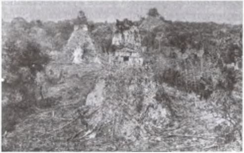 Иллюстрация к книге — Майя. Загадки великой цивилизации [i_038.jpg]