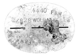 Иллюстрация к книге — Вторая мировая война 1939-1945. Восточные легионы и казачьи части в вермахте [any2fbimgloader2.jpg]