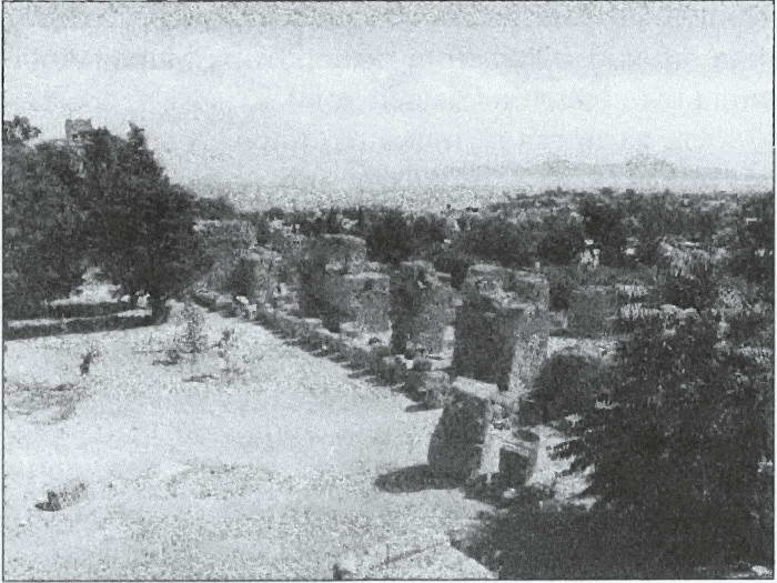 Иллюстрация к книге — Карфаген и Пунический мир [i_012.jpg]