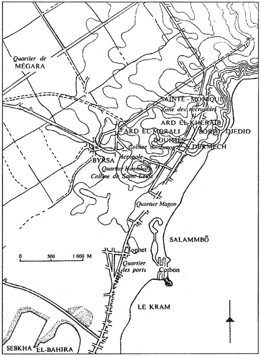 Иллюстрация к книге — Карфаген и Пунический мир [i_016.jpg]
