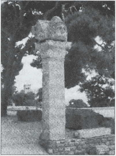 Иллюстрация к книге — Карфаген и Пунический мир [i_017.jpg]