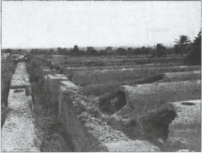 Иллюстрация к книге — Карфаген и Пунический мир [i_021.jpg]