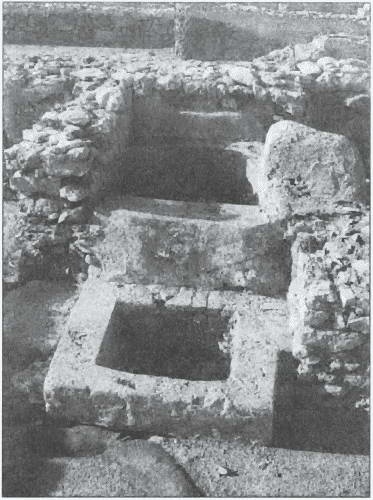 Иллюстрация к книге — Карфаген и Пунический мир [i_096.jpg]