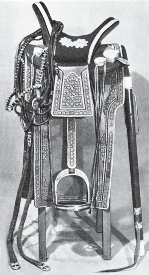 Иллюстрация к книге — Монгольская империя Чингизидов. Чингисхан и его преемники [_18.jpg]