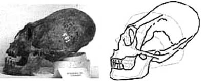 Иллюстрация к книге — Книга древних пророчеств. О чем молчат камни [_63.jpg]