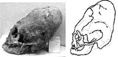 Иллюстрация к книге — Книга древних пророчеств. О чем молчат камни [_64.jpg]