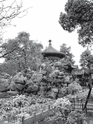 Иллюстрация к книге — Загадки истории. Факты. Открытия. Люди [img2ffa.jpg]