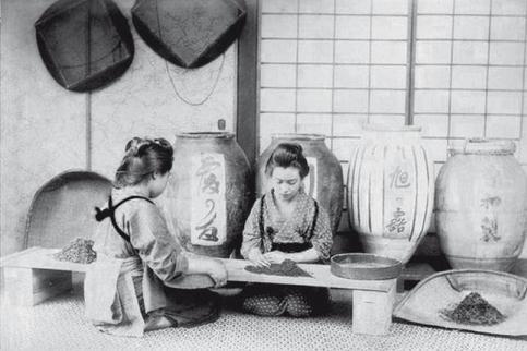 Иллюстрация к книге — Загадки истории. Факты. Открытия. Люди [imgf25f.jpg]