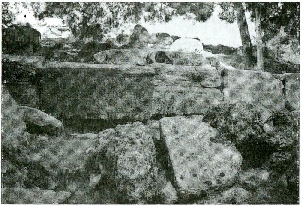 Иллюстрация к книге — Одиссея богов [i_032.jpg]