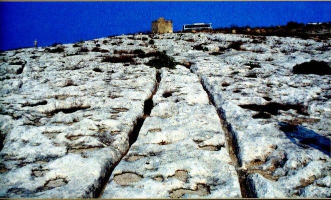 Иллюстрация к книге — Одиссея богов [i_049.jpg]