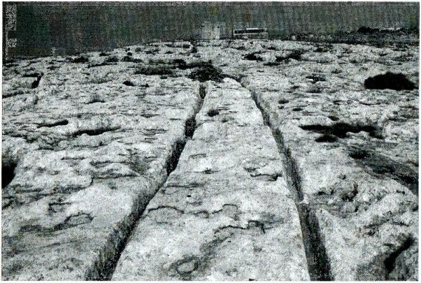 Иллюстрация к книге — Одиссея богов [i_059.jpg]