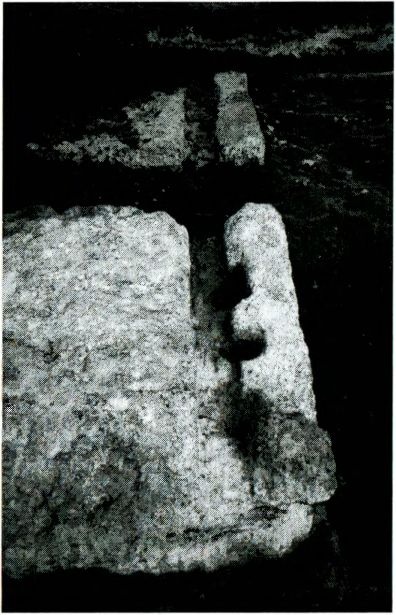 Иллюстрация к книге — Одиссея богов [i_060.jpg]