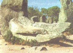 Иллюстрация к книге — Небесные учителя [pic_164.jpg]