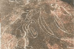 Иллюстрация к книге — Небесные учителя [pic_193.jpg]