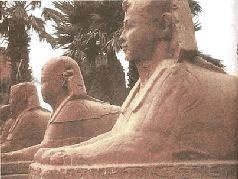 Иллюстрация к книге — Небесные учителя [pic_29.jpg]