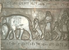 Иллюстрация к книге — Небесные учителя [pic_31.jpg]