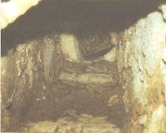 Иллюстрация к книге — Небесные учителя [pic_38.jpg]