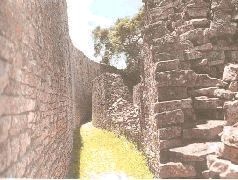 Иллюстрация к книге — Небесные учителя [pic_49.jpg]