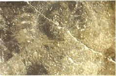 Иллюстрация к книге — Небесные учителя [pic_61.jpg]