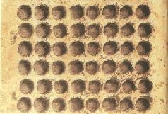 Иллюстрация к книге — Небесные учителя [pic_72.jpg]