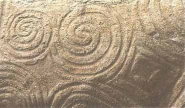 Иллюстрация к книге — Каменный век был иным... [i_003.jpg]